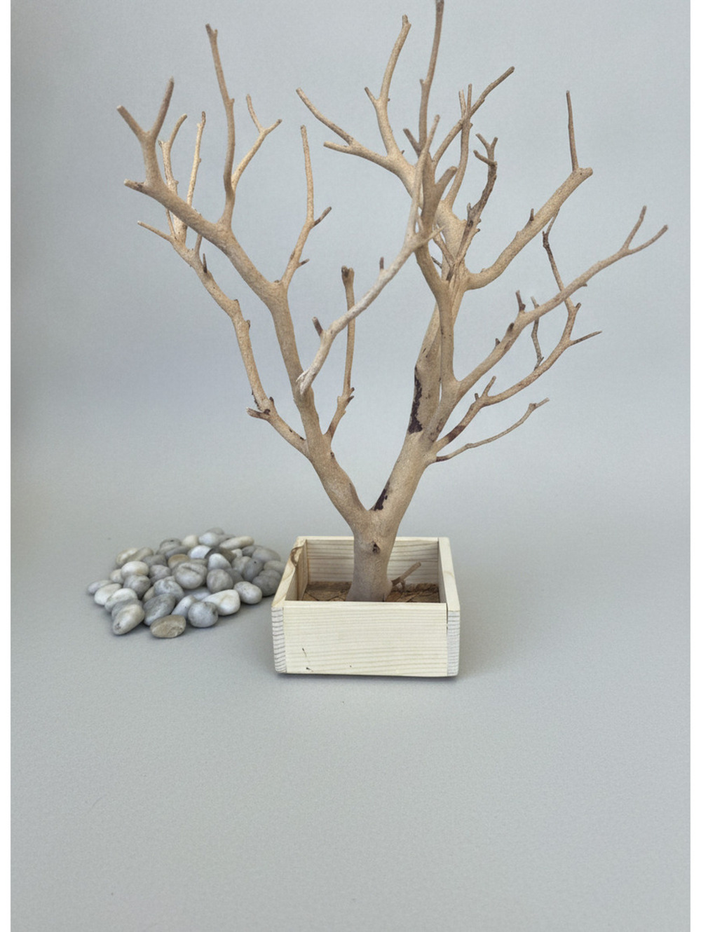 Large Decorative Minimalist Manzanita Branch Tree with Pebble Base - Picture 4 of 11